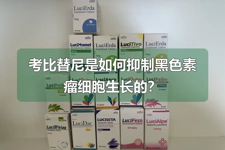 考比替尼是如何抑制黑色素瘤细胞生长的？